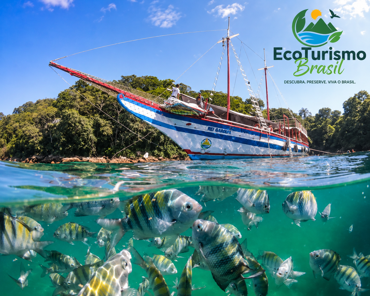 Imagem em formato panorâmico dividida visualmente em duas partes: acima da linha da água aparece uma escuna ancorada próxima à costa; abaixo da superfície do mar, diversos peixes nadam em águas cristalinas.
Na metade superior da imagem, sob um céu azul intenso com poucas nuvens brancas, encontra-se uma grande embarcação de passeio chamada “Rei Garoupa”. A escuna está posicionada na diagonal, com a proa apontando para a esquerda. O casco é branco com faixas vermelhas e azuis, e os mastros vermelhos se elevam em direção ao céu.
Sobre o convés, algumas pessoas aparecem em tamanho reduzido, realizando atividades na embarcação. Ao fundo, uma densa área de Mata Atlântica cobre as encostas da costa, formando um cenário verde e exuberante.
A linha da água atravessa a imagem horizontalmente, criando o efeito de fotografia parcialmente submersa. A superfície do mar apresenta pequenas ondulações e reflexos da luz do sol.
Na metade inferior da imagem, a água possui tonalidade verde-turquesa muito transparente. Diversos peixes tropicais ocupam quase todo o primeiro plano. Eles possuem corpo arredondado, coloração prateada e listras verticais pretas e amareladas. Alguns peixes aparecem muito próximos do observador, com detalhes visíveis das escamas, nadadeiras e olhos.
Ao fundo do ambiente subaquático, outros peixes menores nadam em diferentes profundidades, transmitindo sensação de movimento e vida marinha abundante.
No canto superior direito encontra-se o logotipo da EcoTurismo Brasil. O símbolo apresenta montanhas verdes, um rio azul, um sol amarelo e folhas que envolvem a paisagem. Abaixo está o nome “EcoTurismo Brasil” em letras verdes e o slogan: “Descubra. Preserve. Viva o Brasil.”
A imagem transmite uma sensação de aventura, contato com a natureza e integração entre o turismo náutico e a vida marinha. O contraste entre a embarcação na superfície e os peixes nadando abaixo da água destaca a riqueza dos ecossistemas costeiros brasileiros e a importância da preservação ambiental.